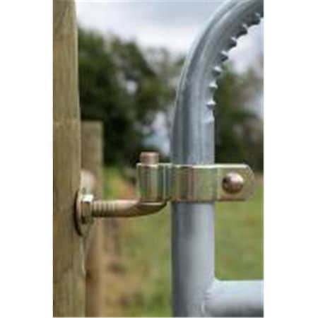 Powerfields Powerfields 1382175 2 in. Gate Hinge with 0.75 x 12 in. Bolt 1382175